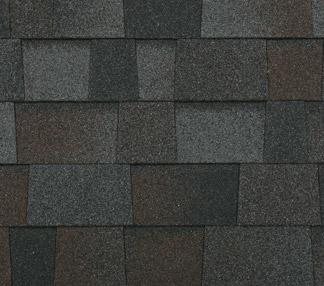 legacy shingle color oak
